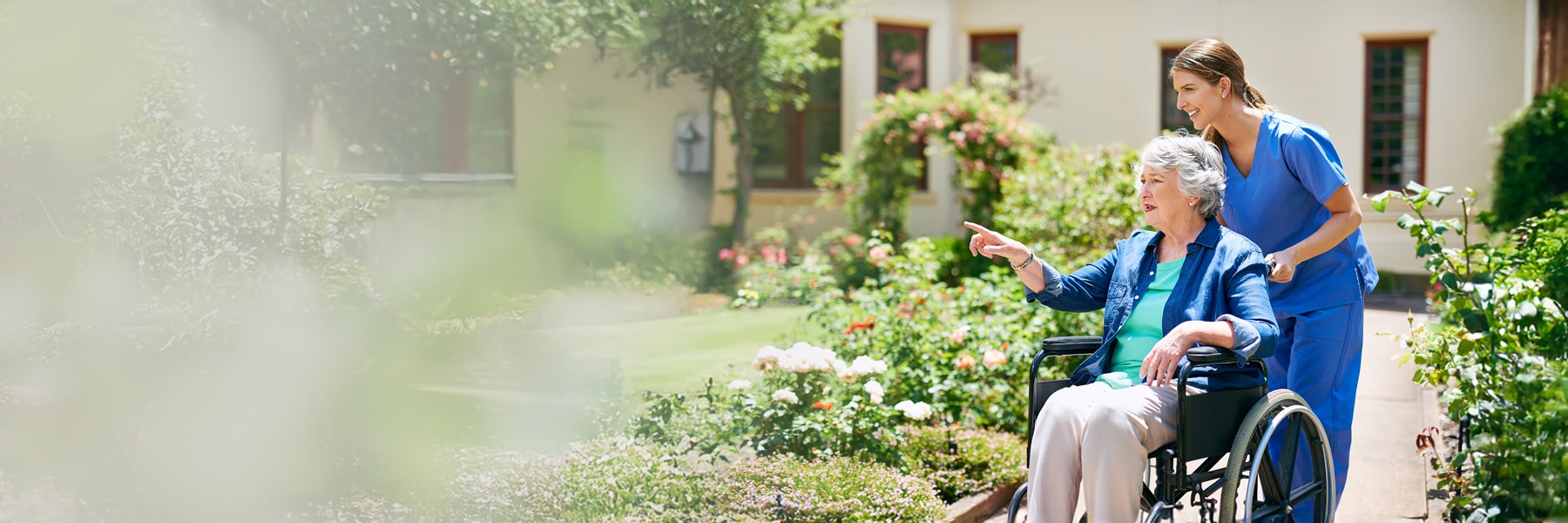 Desktop Background Image